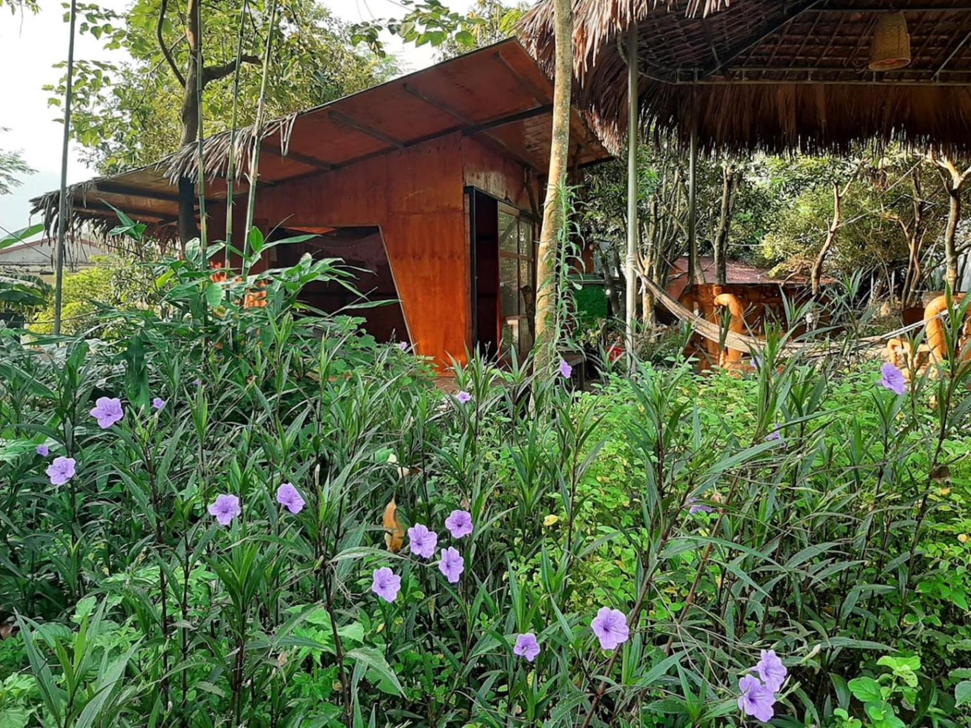 Làng Cac Muong Tra Garden Homestay מראה חיצוני תמונה